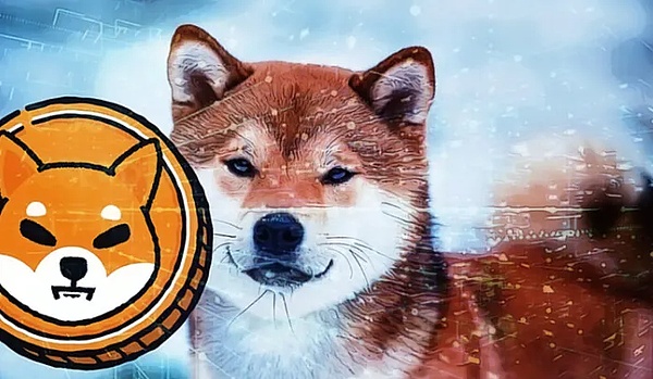 我的SPELL投资心路历程：为什么我敢在这个时间点进场？