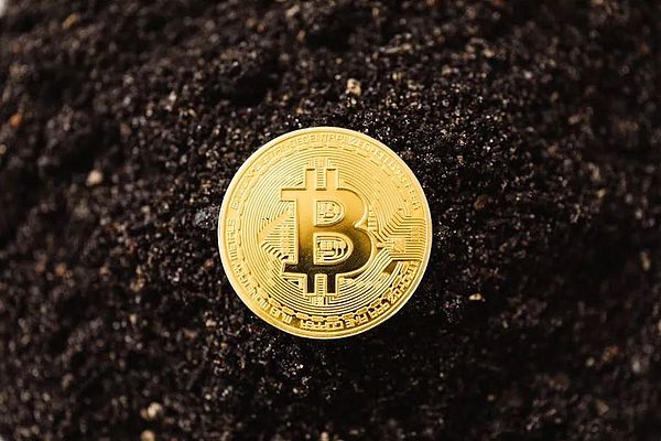 ARK的加密投资艺术：精准择时创造2亿美元财富神话