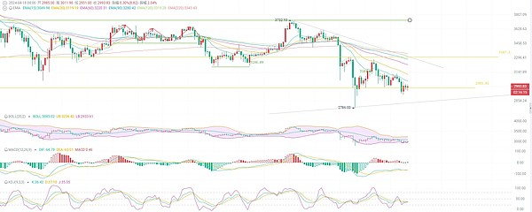 8月DOGE行情深度解析：30亿持仓暗藏玄机，暴涨前夜来了？